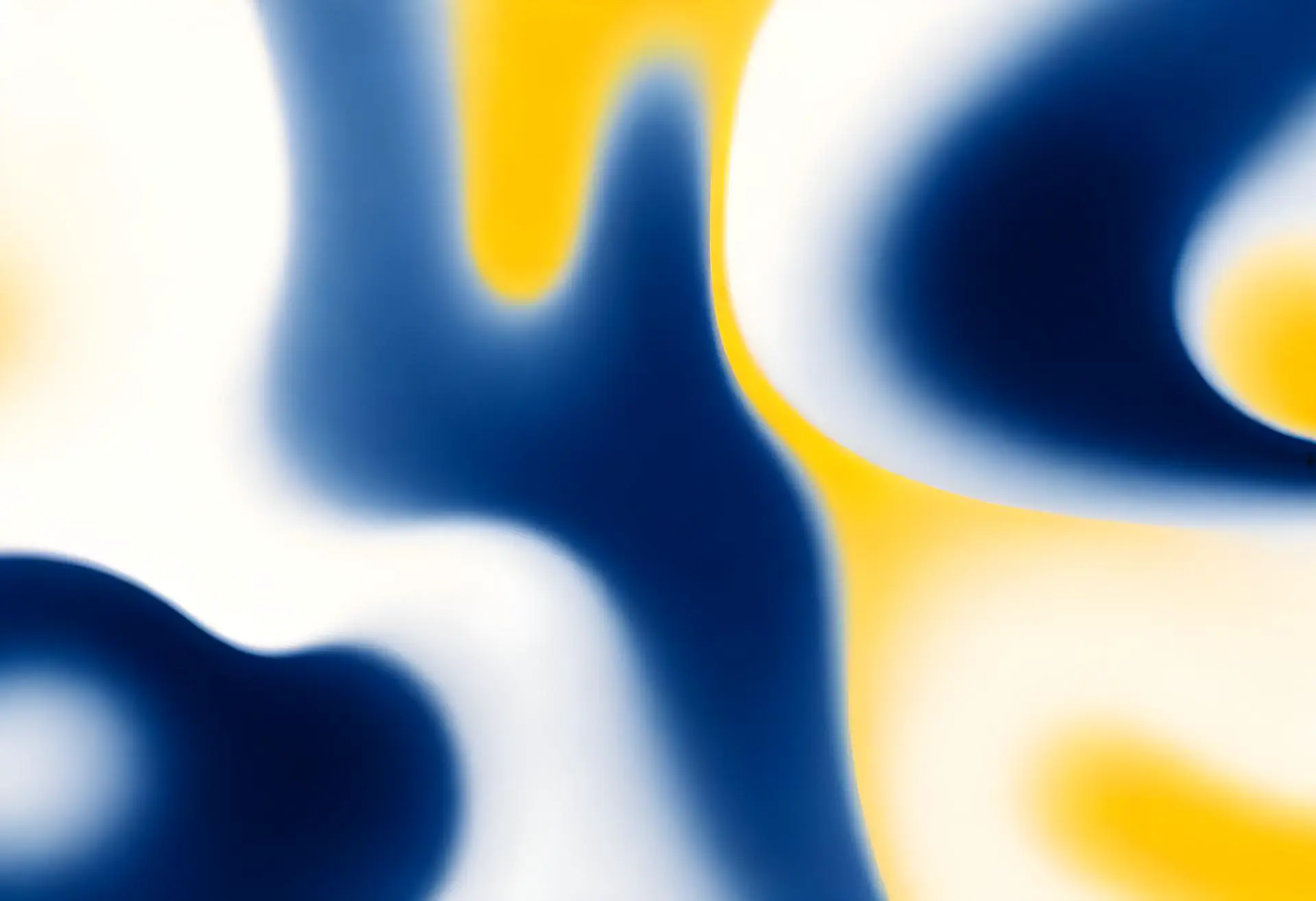 AI Agents vs Chatbots: What Your Business Really Needs