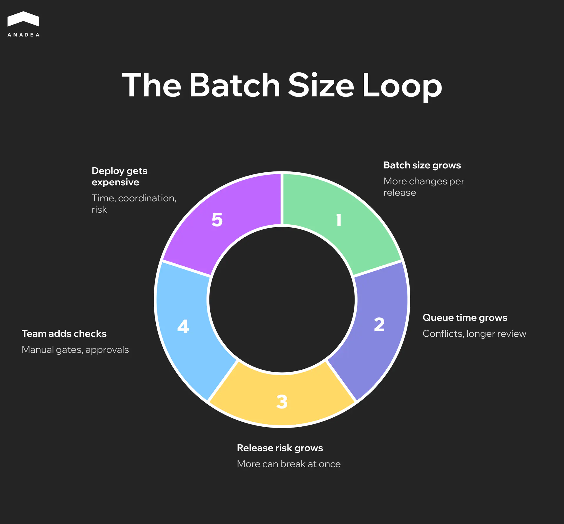 The Batch Size Loop