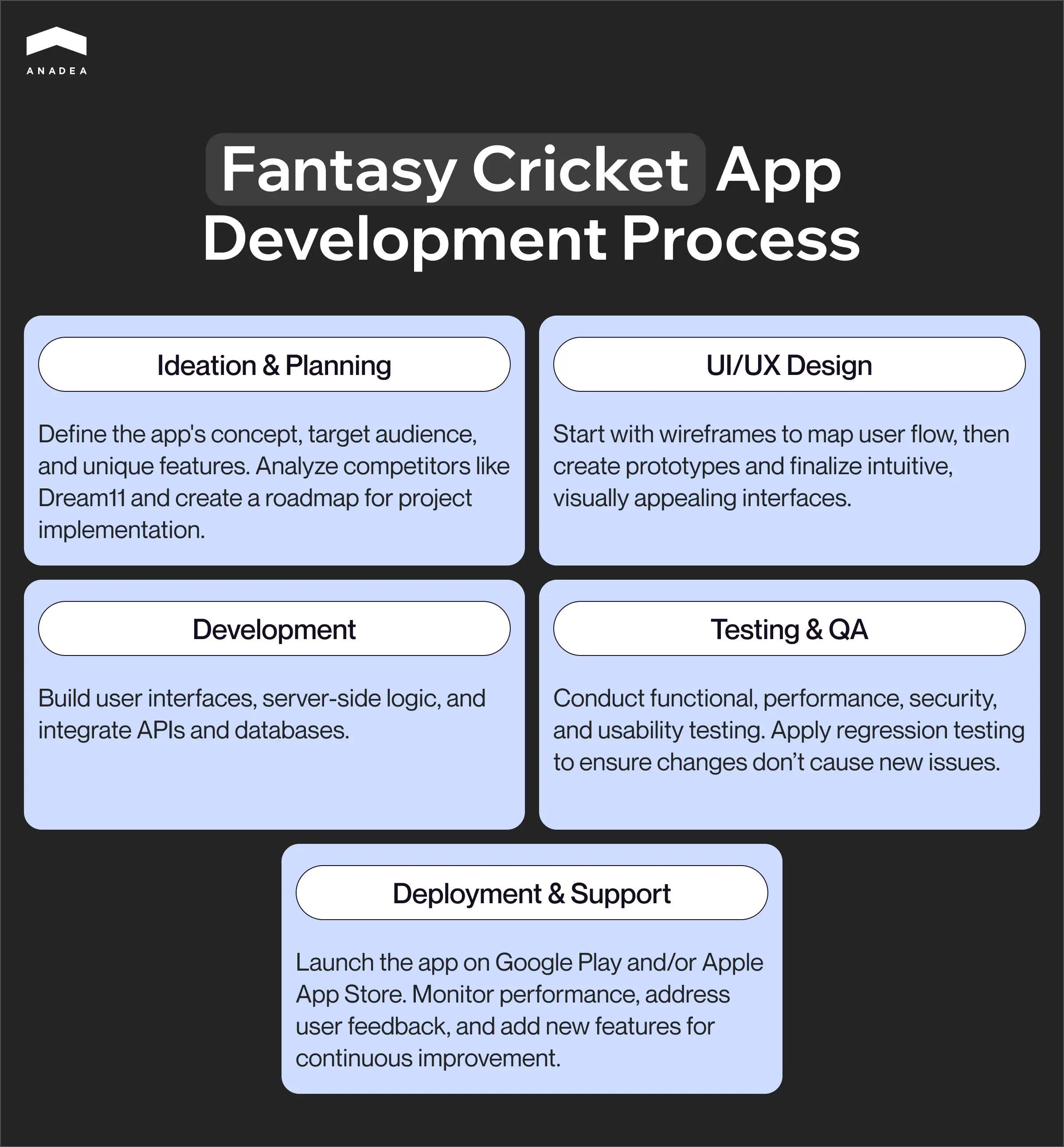 Fantasy cricket app development process