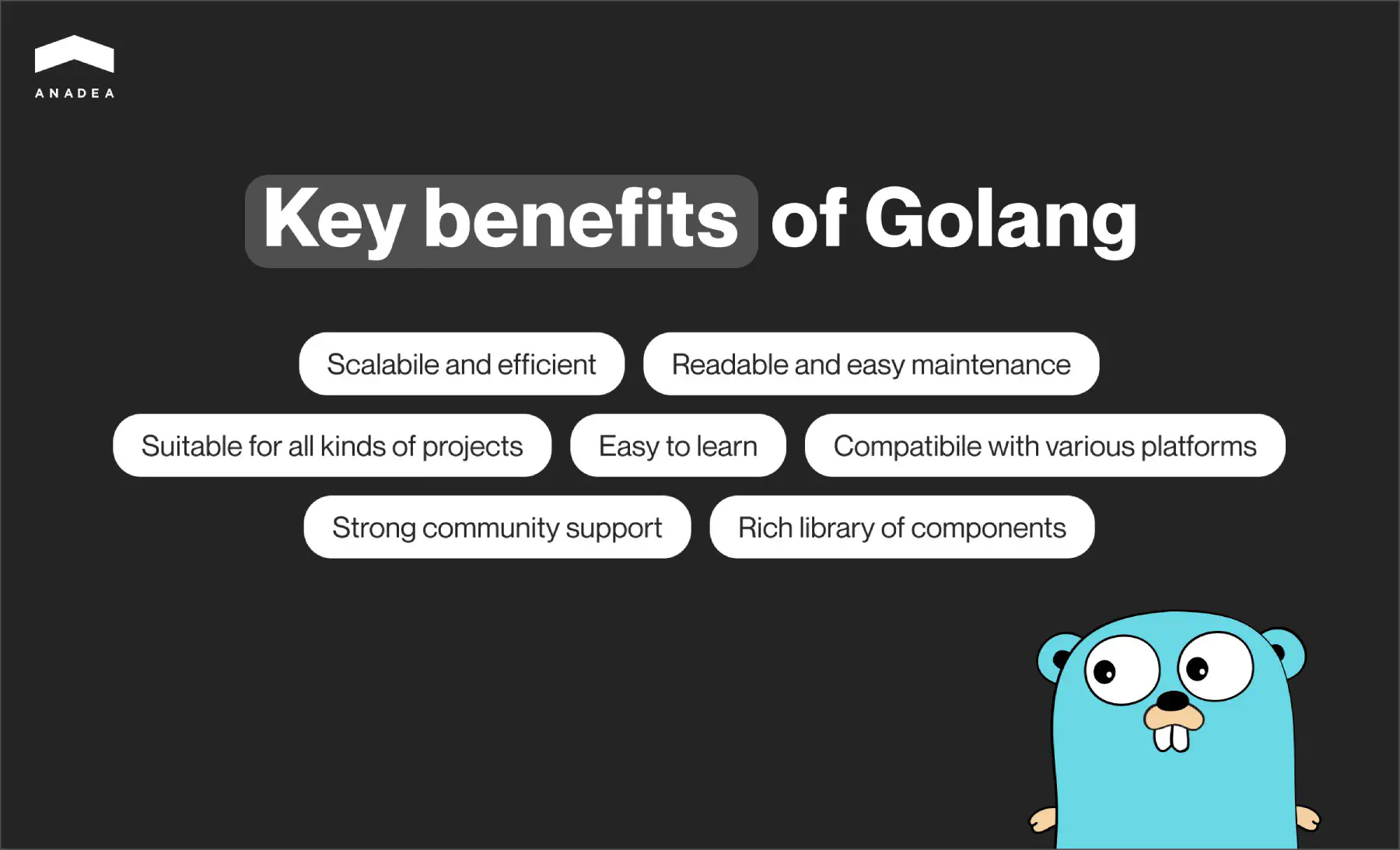 Key_benefits__of_Golang.jpg