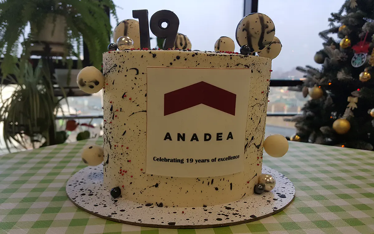 Anadea&rsquo;s 19th Anniversary - Grodno cake 