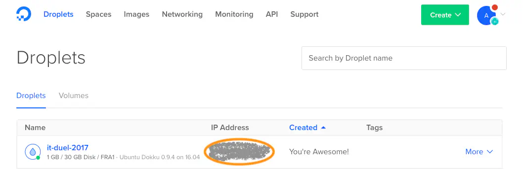 IP address of the droplet