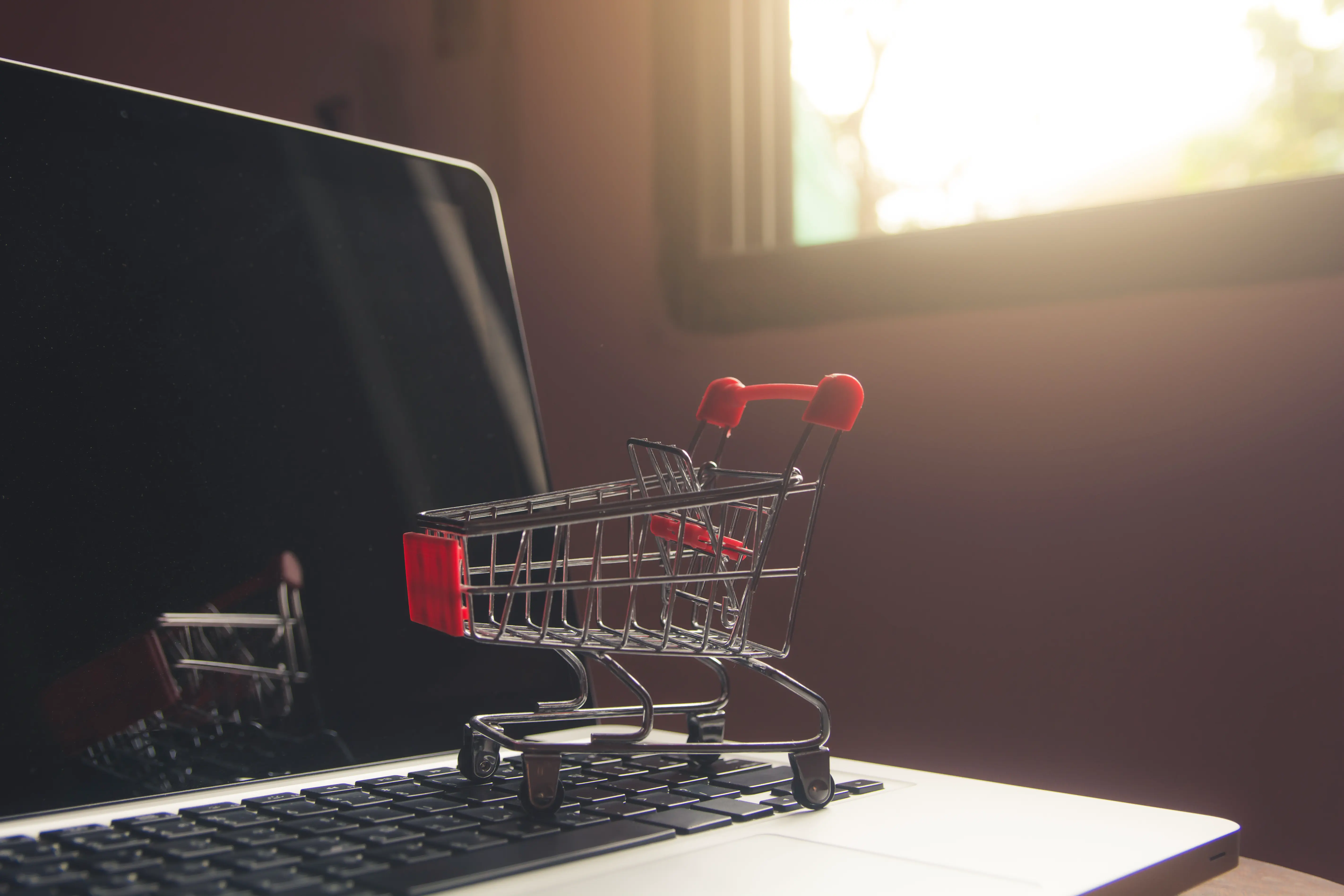 Outsourcing eCommerce Website Development: Essential Guide