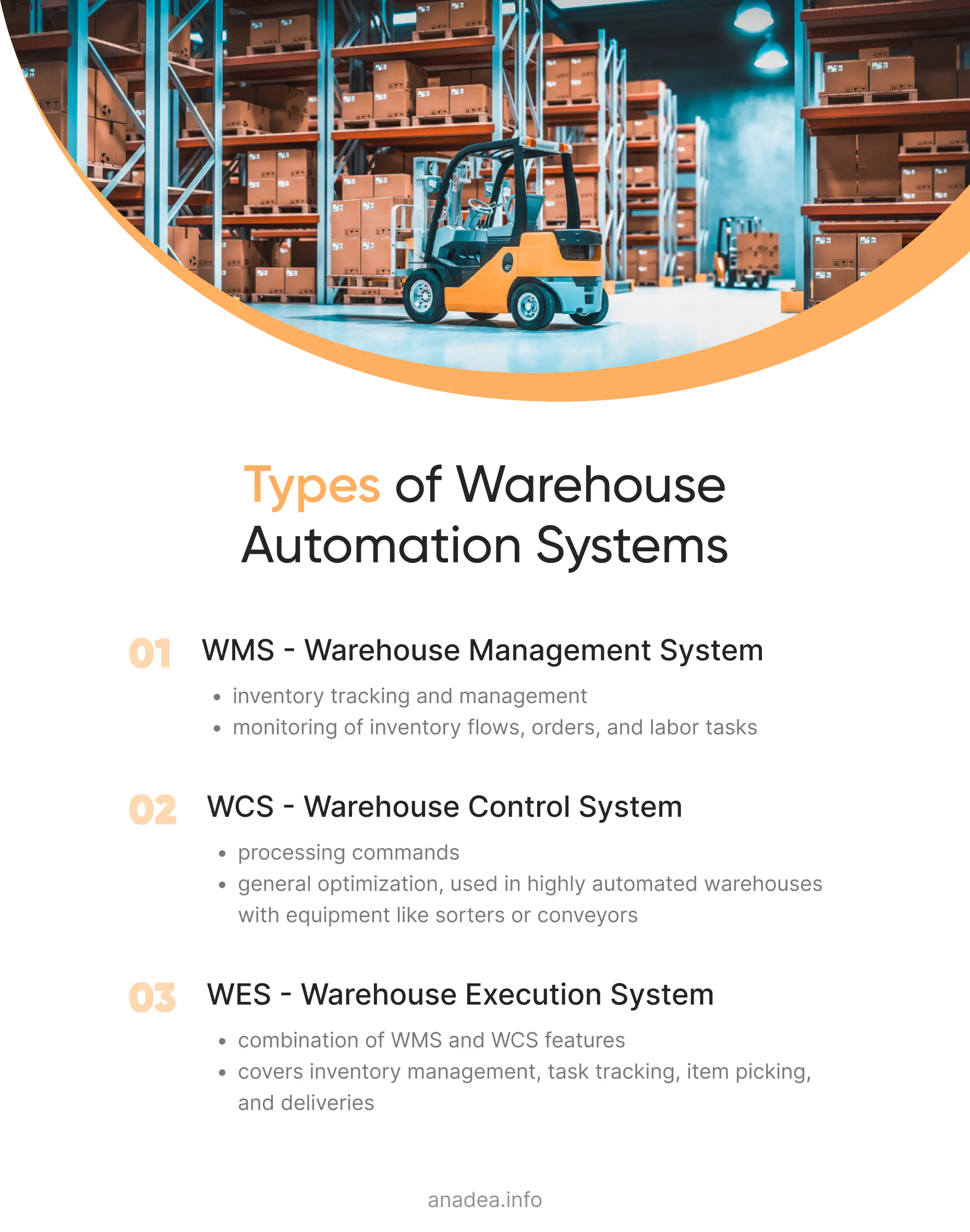 Warehouse software types - Infographic