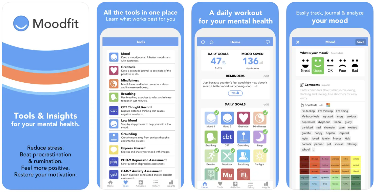 moodfit app