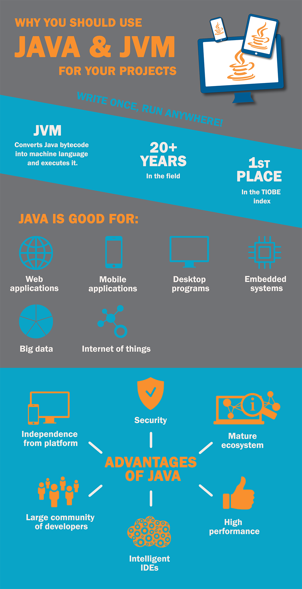 Infographic: Advantages of Java and JVM