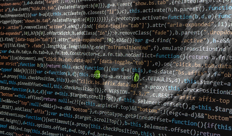 Web development sins