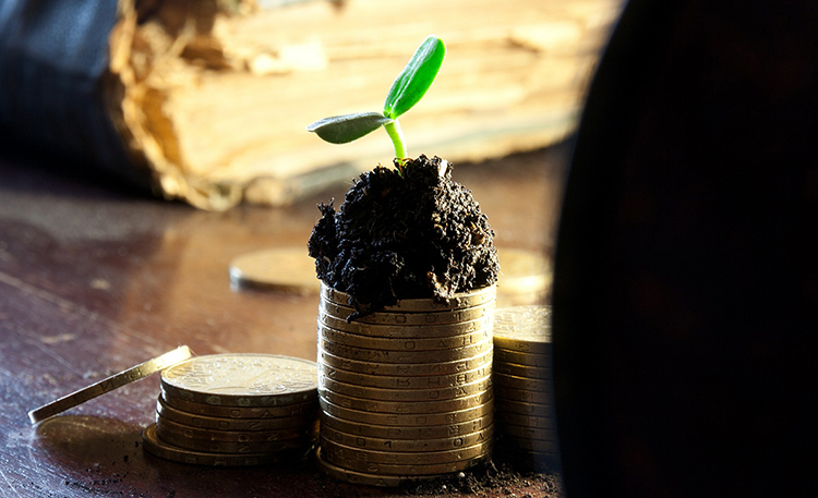 Seed Funding for Health IT Startup