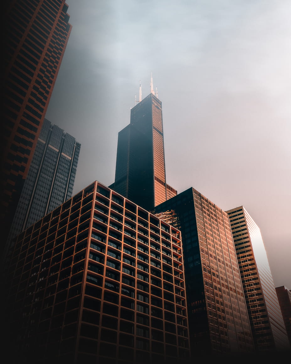 Real Estate Software Development Company